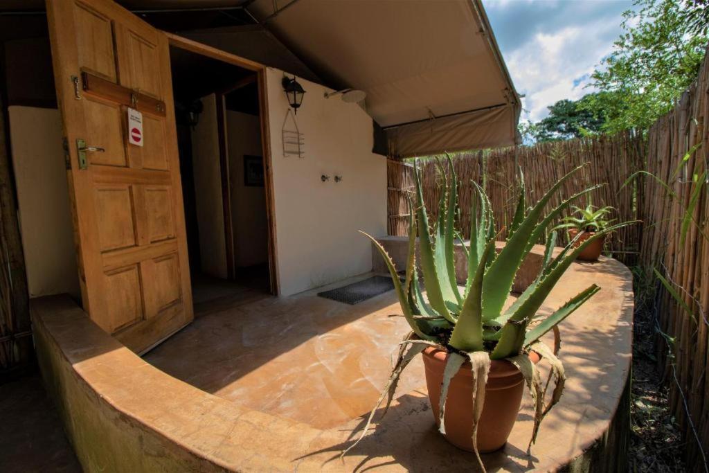 Tembe Elephant Park Lodge Sihangwane Екстер'єр фото